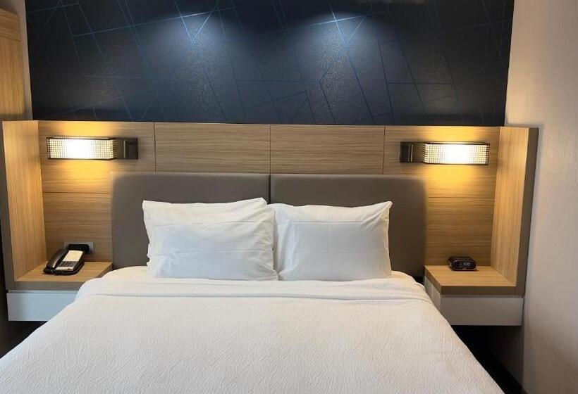 إستوديو قياسى سرير كينج, Springhill Suites By Marriott Lansing