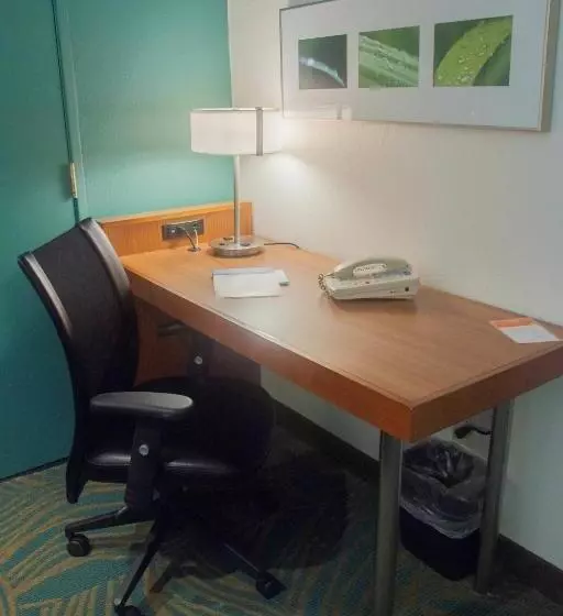 キングサイドベッドのスタンダードワンルーム, Springhill Suites Pittsburgh Monroeville