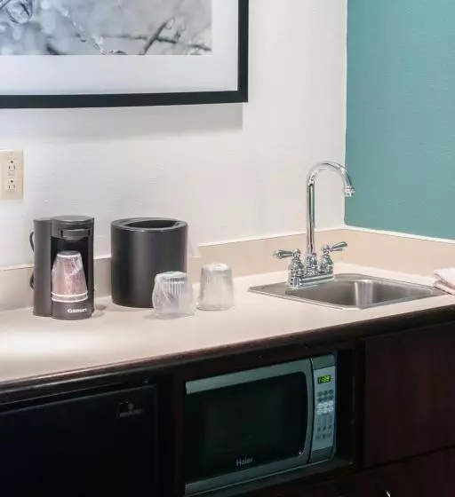 キングサイドベッドのスタンダードワンルーム, Springhill Suites Pittsburgh Monroeville
