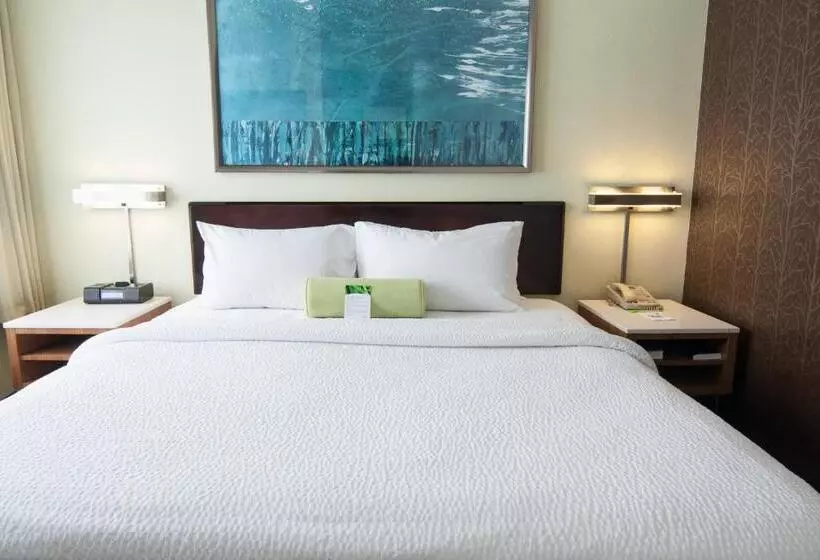 キングサイドベッドのスタンダードワンルーム, Springhill Suites Pittsburgh Monroeville