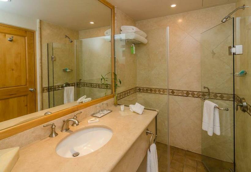 جناح جونيور ذات إطلالة, Tesoro Los Cabos