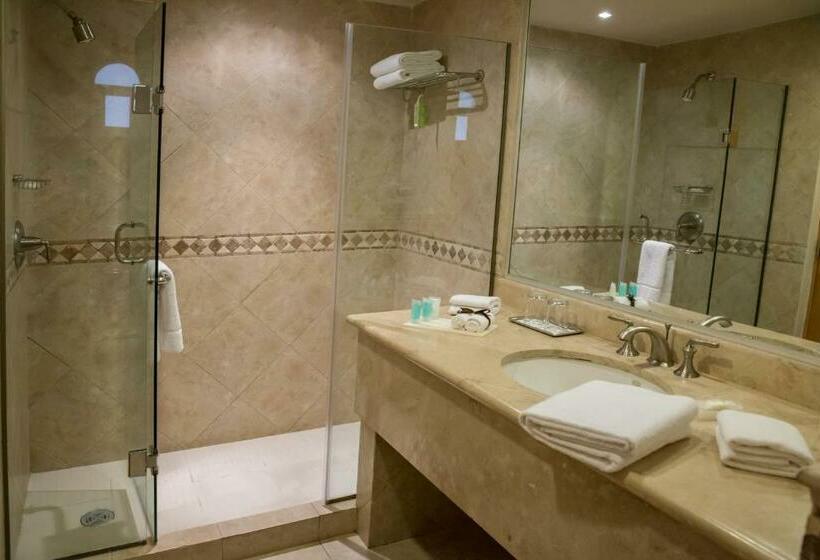 غرفة قياسية, Tesoro Los Cabos