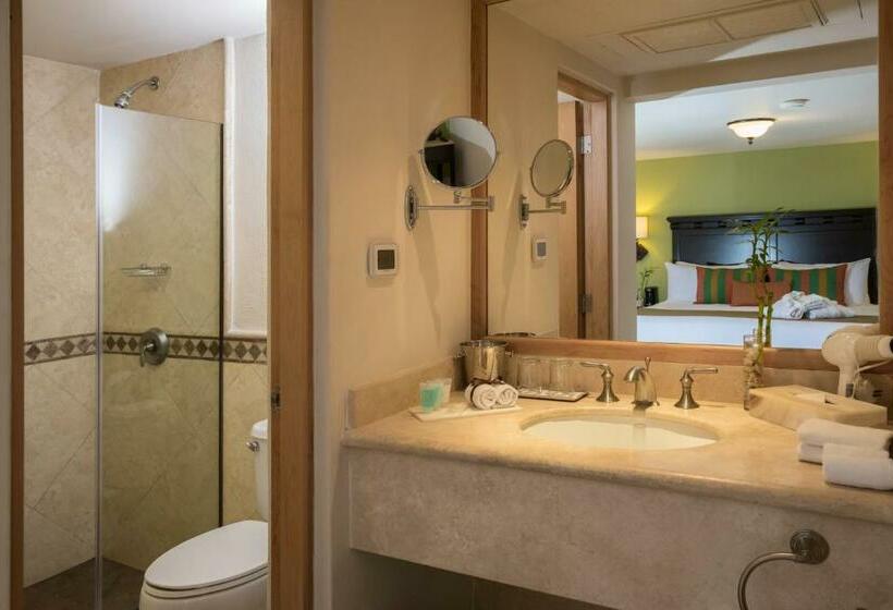 غرفة قياسية, Tesoro Los Cabos