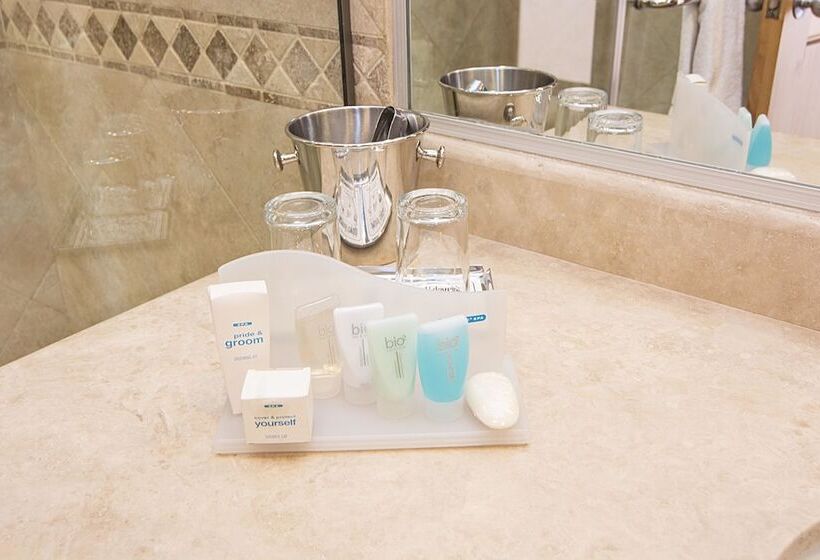 غرفة قياسية, Tesoro Los Cabos