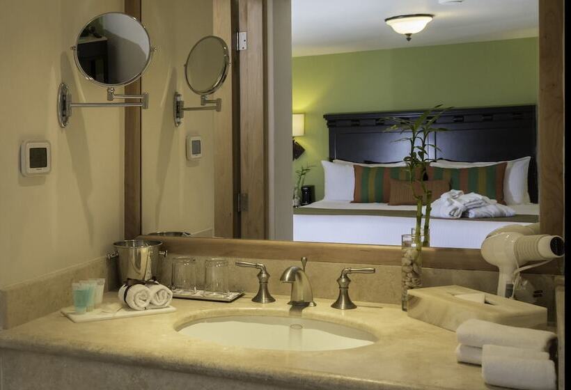 スタンダードルーム, Tesoro Los Cabos