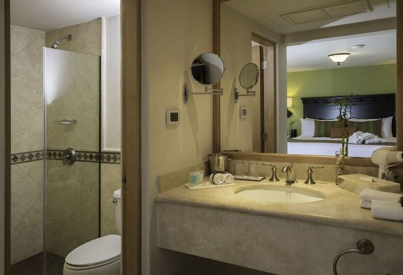 غرفة قياسية, Tesoro Los Cabos