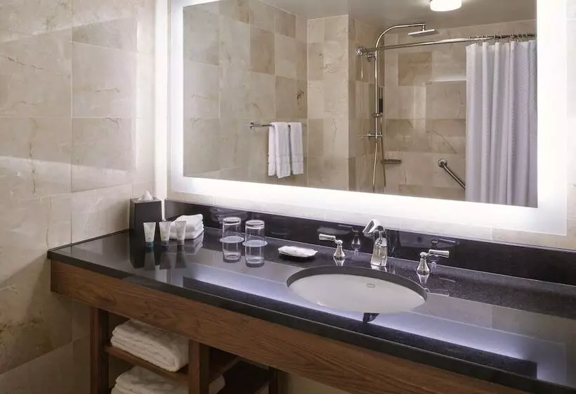 اتاق لوکس, The Westin Detroit Metropolitan Airport
