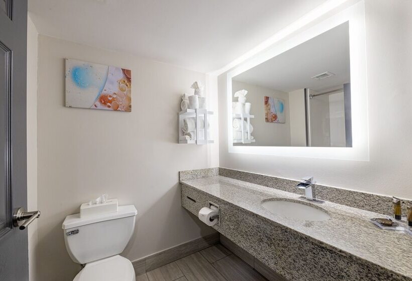 高级两卧套房, Wingate By Wyndham Atlanta Galleria/ Ballpark