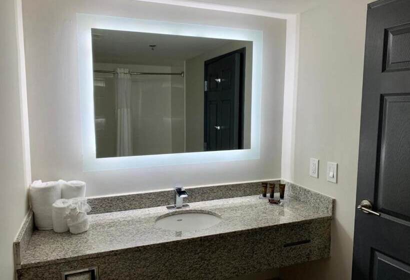 高级两卧套房, Wingate By Wyndham Atlanta Galleria/ Ballpark