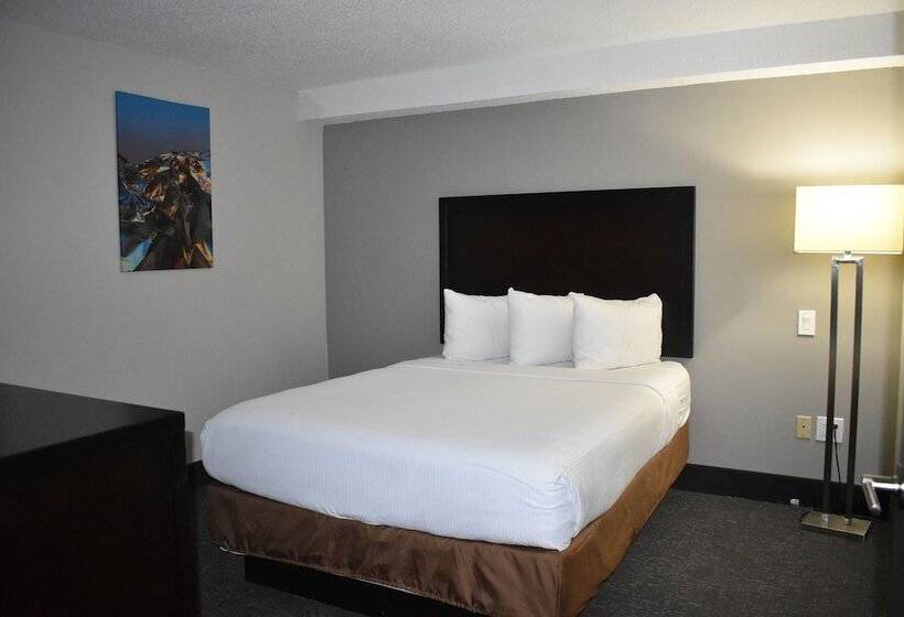 Люкс Premium 2 Спальни, Wingate By Wyndham Atlanta Galleria/ Ballpark