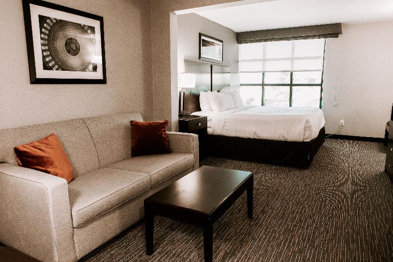 اتاق استاندارد با تخت بزرگ, Wingate By Wyndham   Dulles International