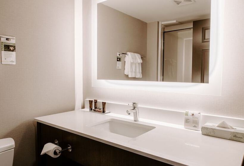 Номер Стандарт 2 Двуспальные Кровати, Wingate By Wyndham Dulles International