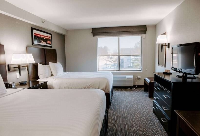 اتاق استاندارد با 2 تخت دوبل, Wingate By Wyndham   Dulles International