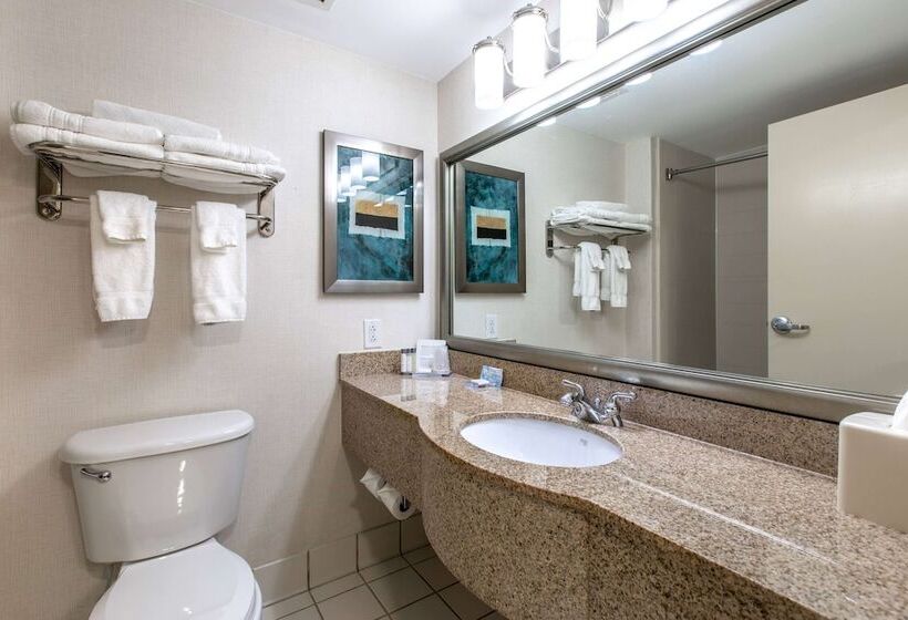 주니어 스위트, Wingate By Wyndham Charlotte Concord Mills/speedway