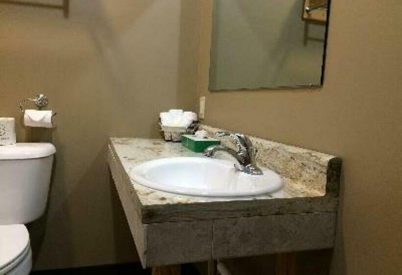 キングサイズベッドのスタンダードルーム, Big Horse Inn And Suites