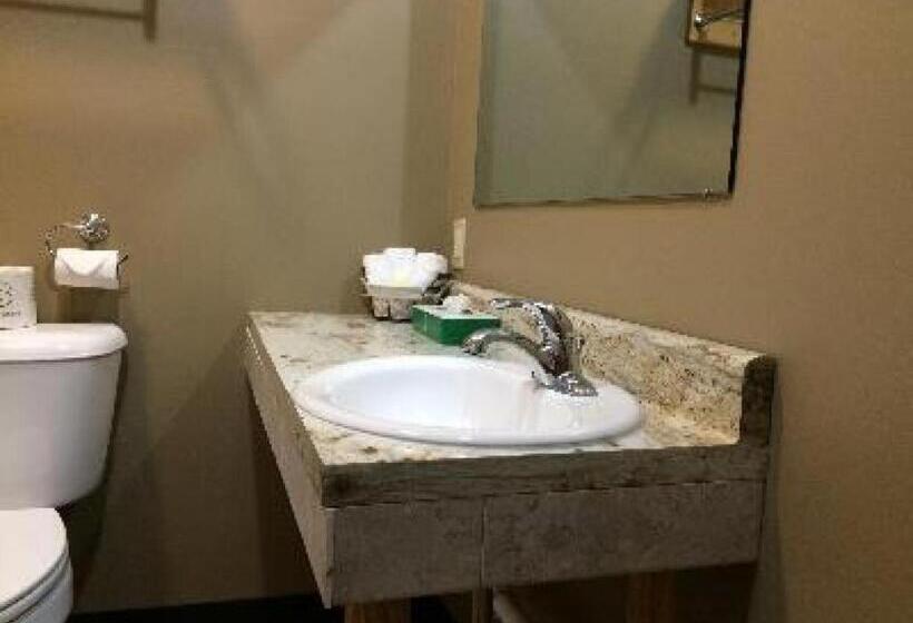 四人标准间, Big Horse Inn And Suites