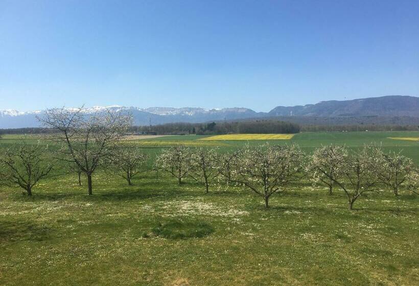 غرفة قياسية, B&b Domaine En Trembley