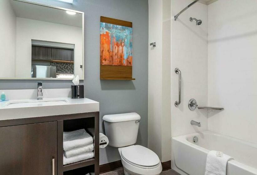 Люкс, Mainstay Suites Waukeewest Des Moines