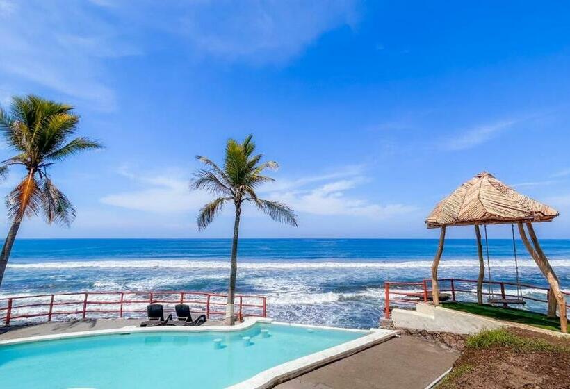 جناح ديلوكس مطل على البحر, Reef On The Water