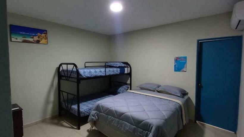 غرفة كومفورت ثلاثية, Reef On The Water