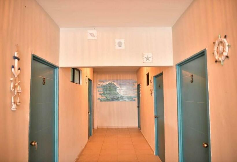 غرفة كومفورت ثلاثية, Reef On The Water