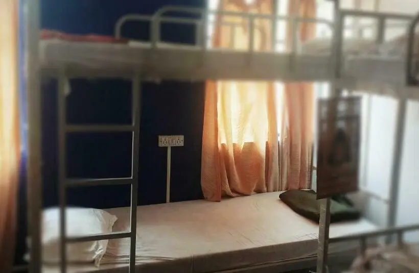 Yatak Paylaşımlı Oda, Monkey Mind Hostel