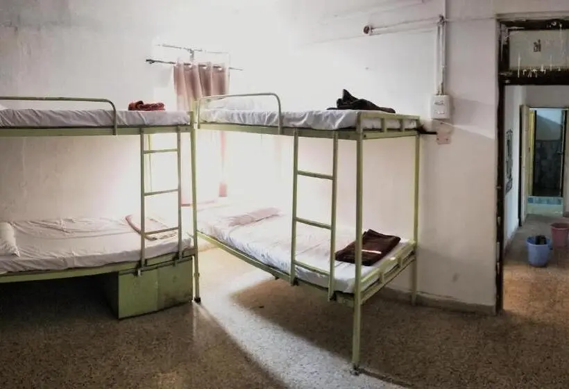 Yatak Paylaşımlı Oda, Monkey Mind Hostel