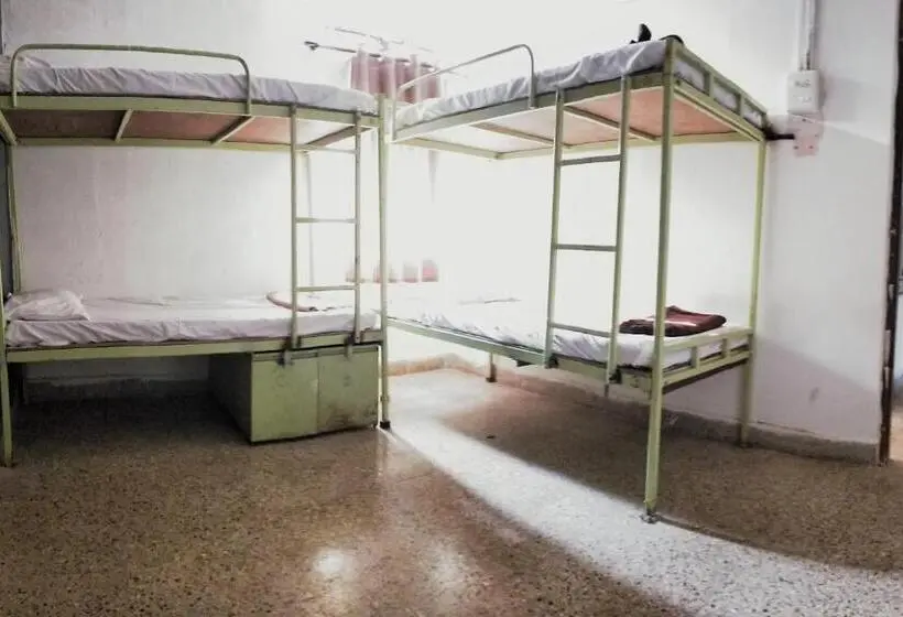 Yatak Paylaşımlı Oda, Monkey Mind Hostel