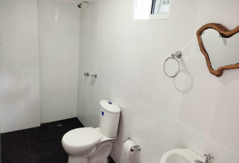 标准间, Manakin Tayrona