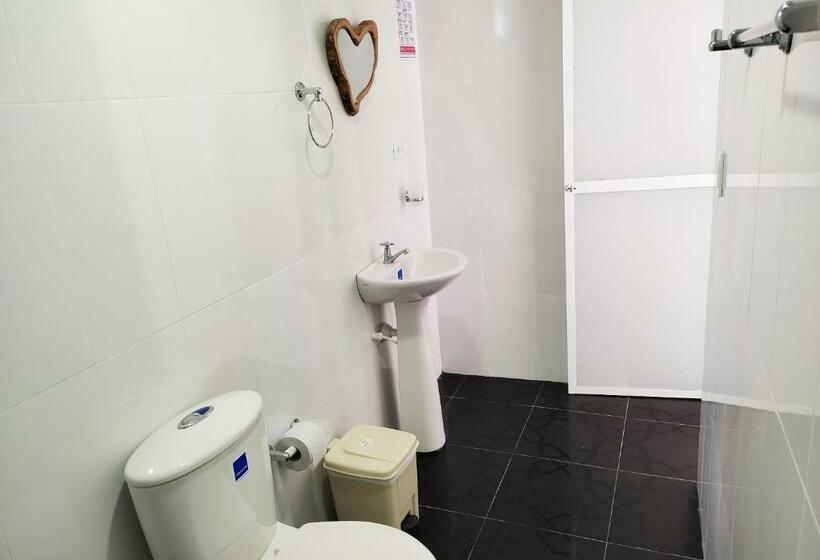 标准间, Manakin Tayrona