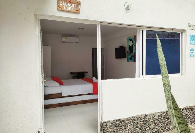 标准间, Manakin Tayrona