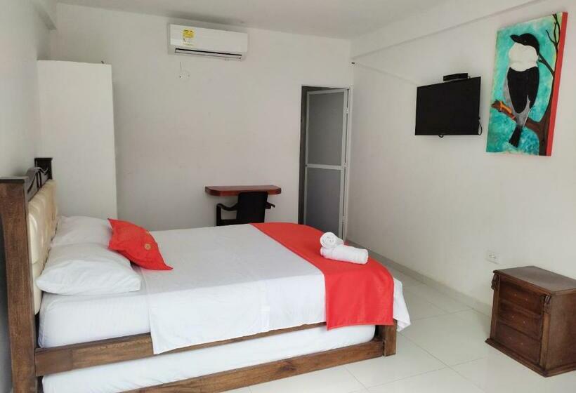 标准间, Manakin Tayrona