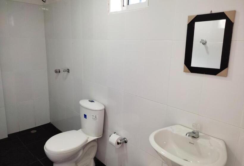 四人豪华间, Manakin Tayrona