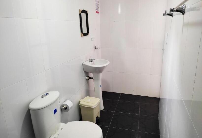 四人豪华间, Manakin Tayrona