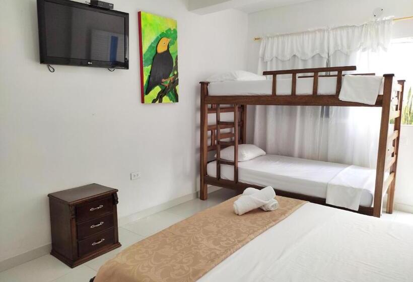 四人豪华间, Manakin Tayrona