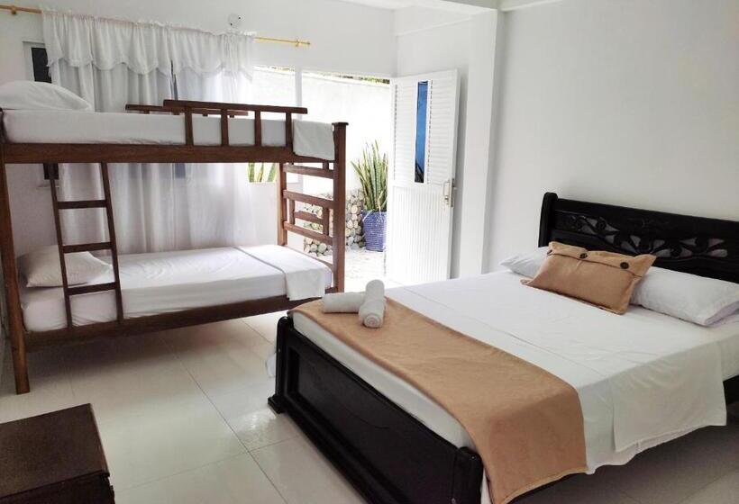 四人豪华间, Manakin Tayrona