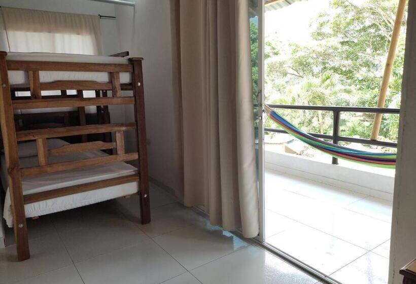 家庭套房, Manakin Tayrona