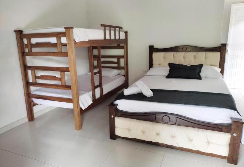 家庭套房, Manakin Tayrona