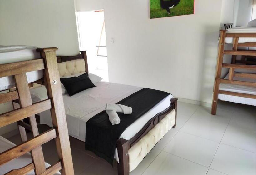 家庭套房, Manakin Tayrona