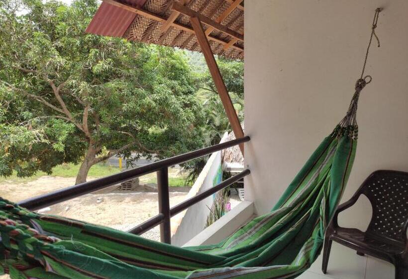 高品质的四人房间, Manakin Tayrona