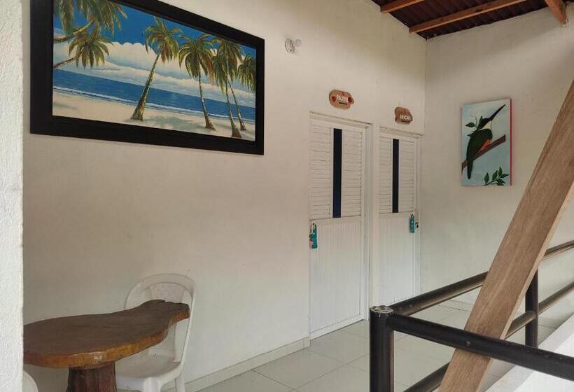 高品质的四人房间, Manakin Tayrona