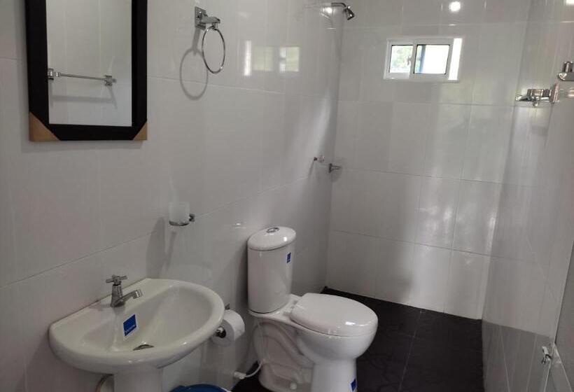 高品质的四人房间, Manakin Tayrona