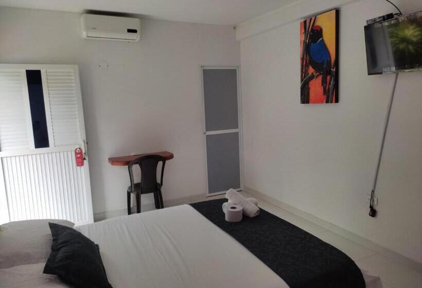 标准房带园景, Manakin Tayrona