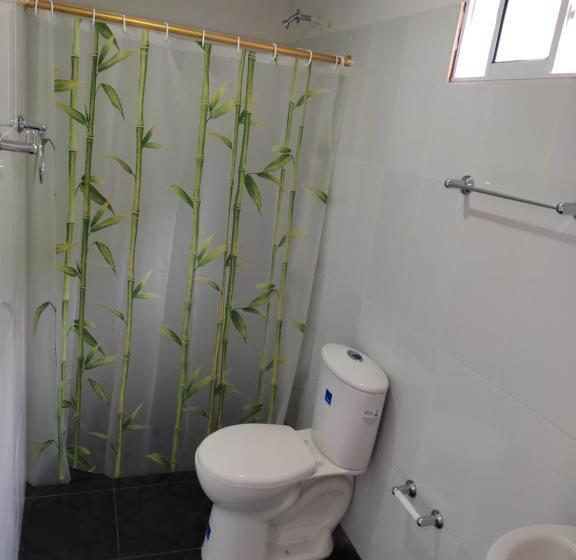 标准房带园景, Manakin Tayrona