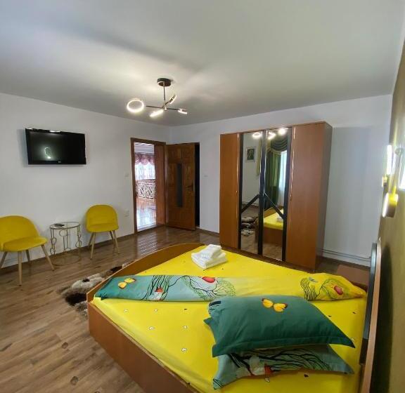 Номер Стандарт, Pensiunea Alexia