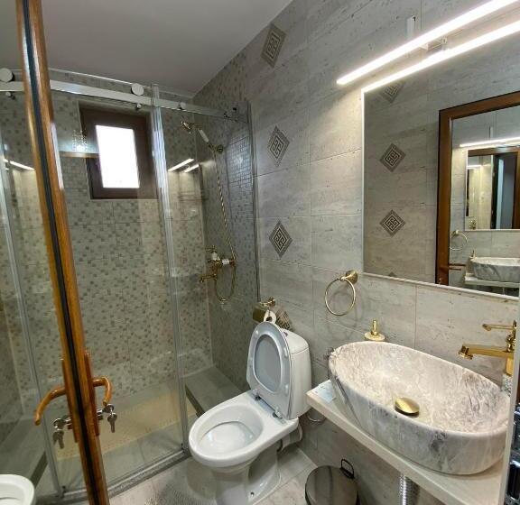 Номер Стандарт, Pensiunea Alexia