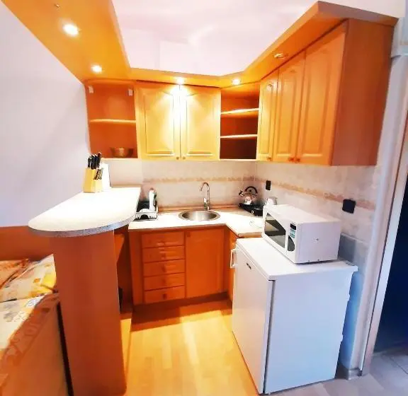 １階の１ベッドルームアパートメント, Apartmány Goral Oravice