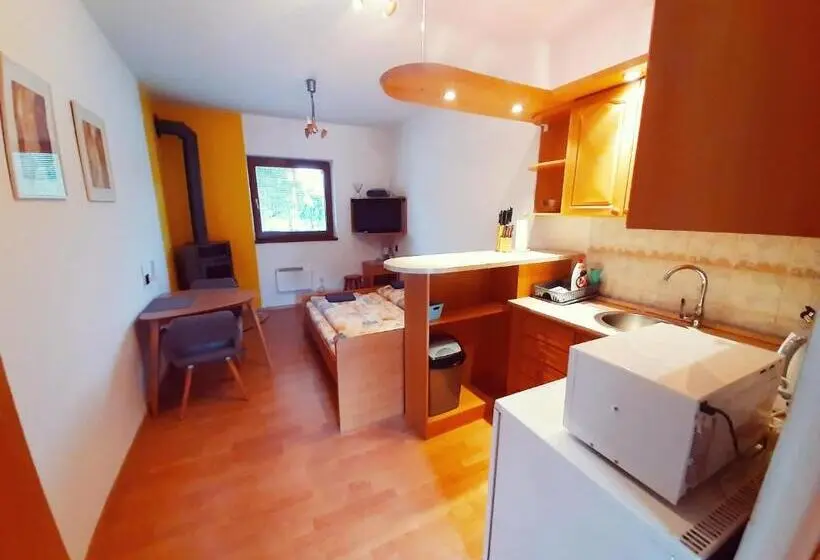 １階の１ベッドルームアパートメント, Apartmány Goral Oravice