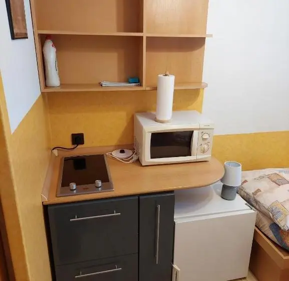 スタンダードルーム, Apartmány Goral Oravice