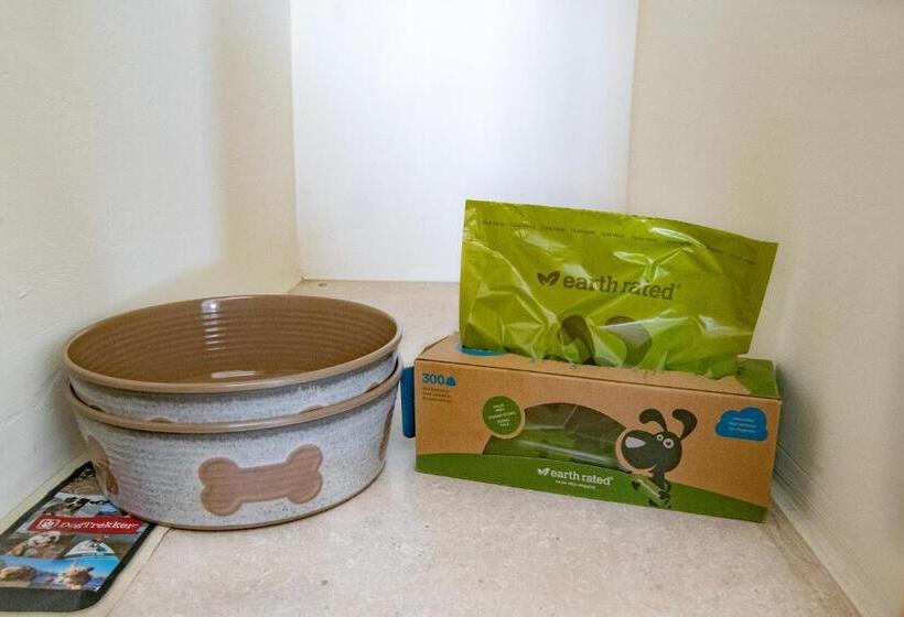 Номер Стандарт, Mt Williamson Motel And Basecamp